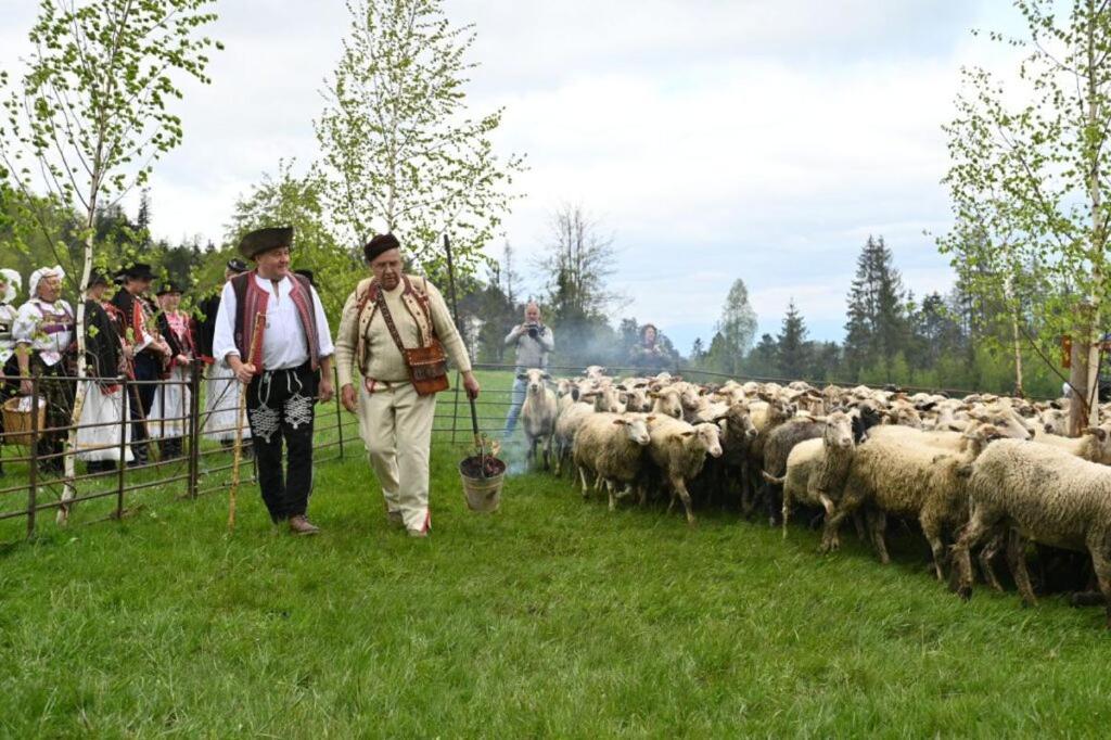 Penzion Zbojnicky Halas Tisovec Esterno foto